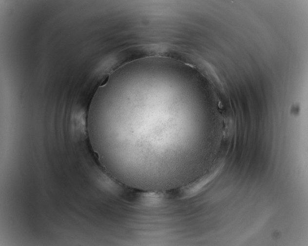 X0000103220238200808281415