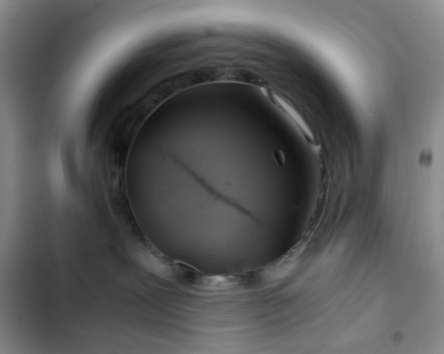 X0000103220239200808281415