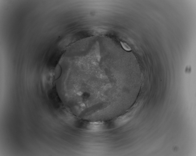 X0000103220240200808281415