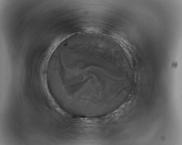 X0000103220241200808281414