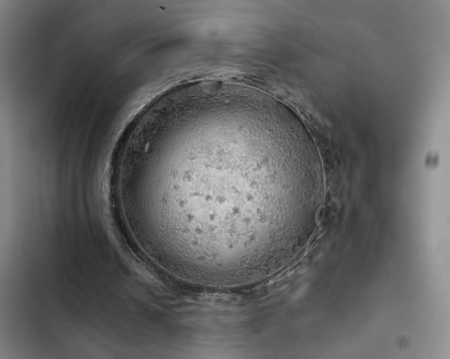 X0000103220242200808281414