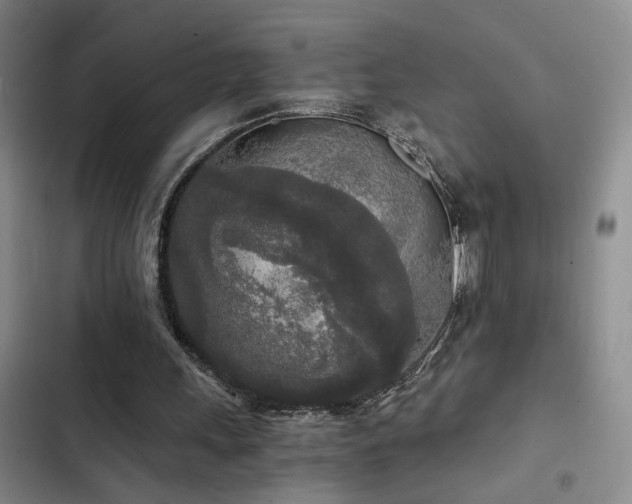 X0000103220243200808281414