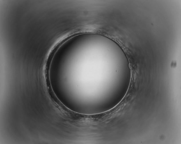 X0000103220244200808281414