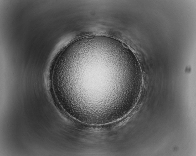 X0000103220245200808281414