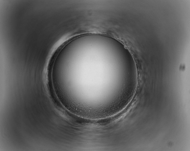 X0000103220246200808281414