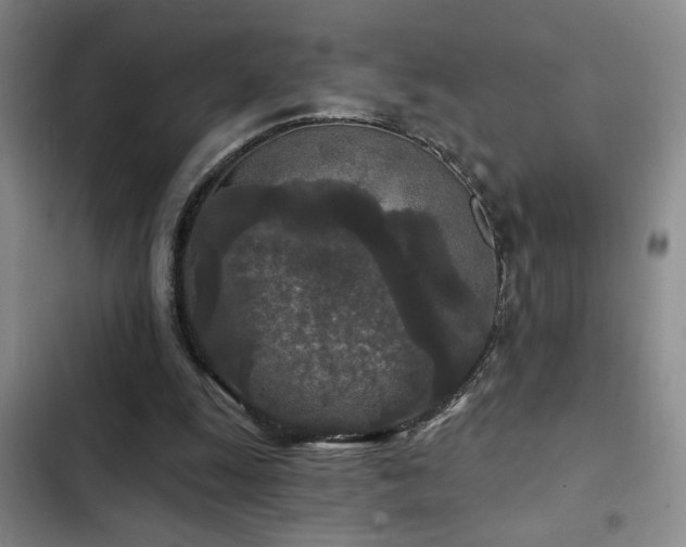 X0000103220247200808281414