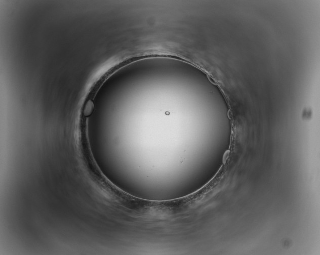 X0000103220248200808281414