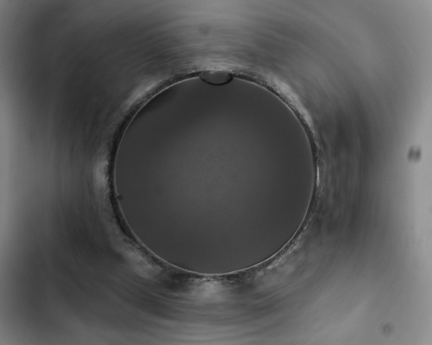 X0000103220249200808281414