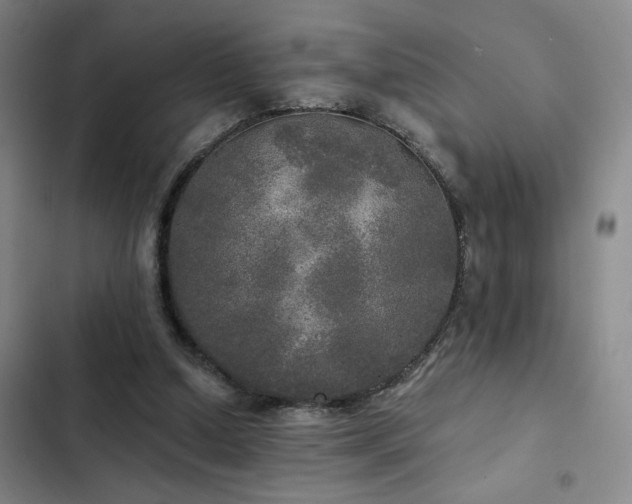 X0000103220250200808281414