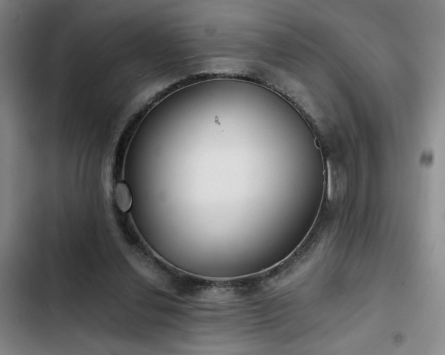 X0000103220252200808281414