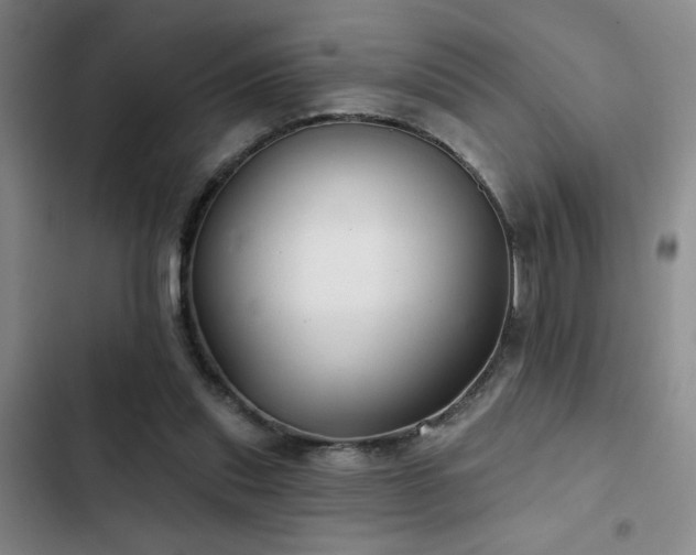 X0000103220253200808281414