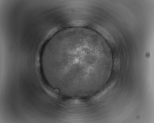 X0000103220254200808281414