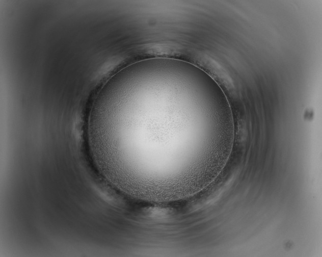 X0000103220255200808281414