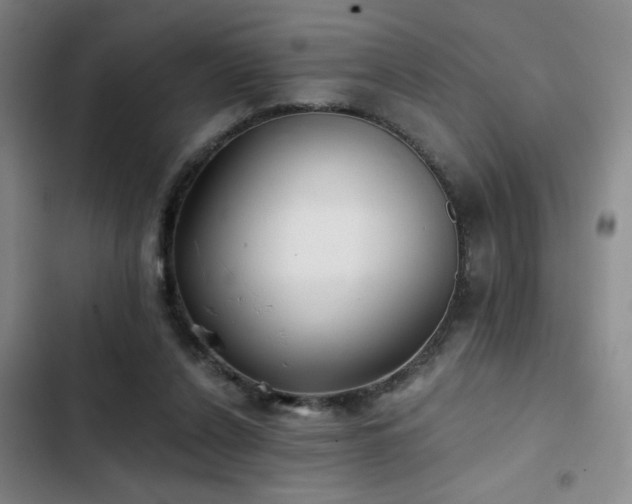 X0000103220256200808281414