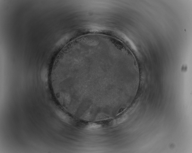 X0000103220257200808281414