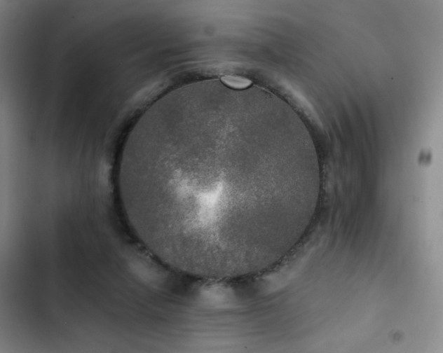 X0000103220258200808281414