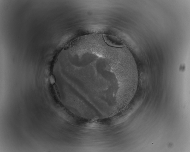 X0000103220259200808281414