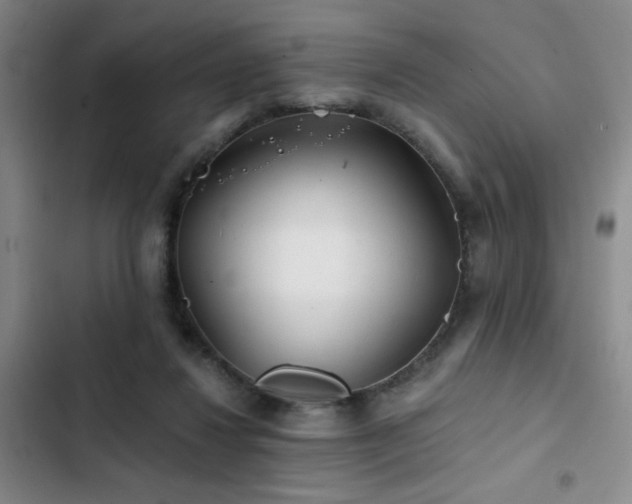 X0000103220260200808281414