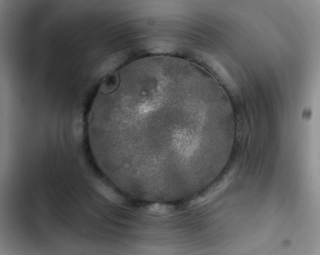 X0000103220261200808281414