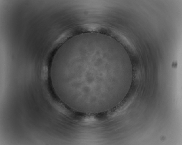 X0000103220262200808281414