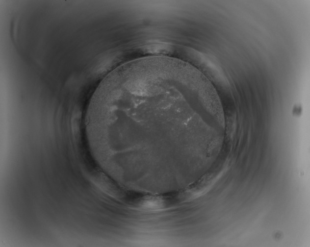 X0000103220263200808281414