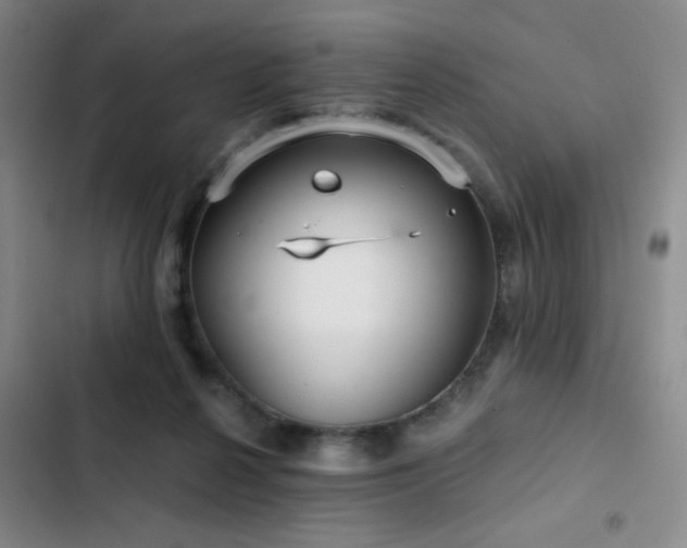 X0000103220264200808281414