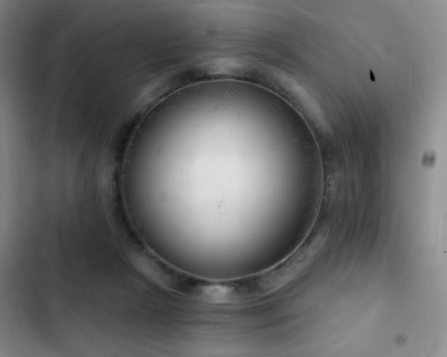 X0000103220265200808281414