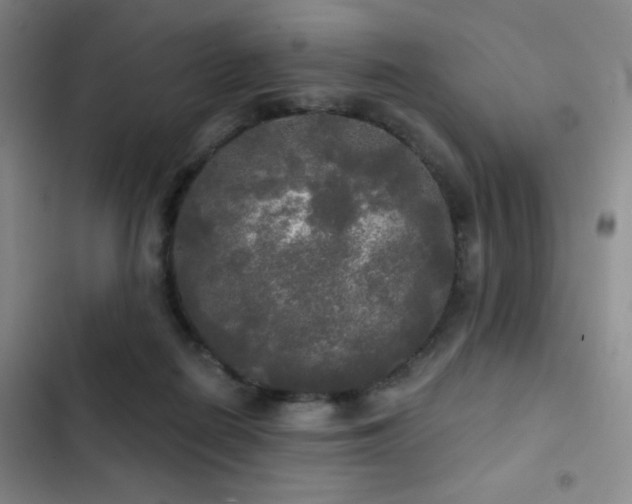 X0000103220266200808281414