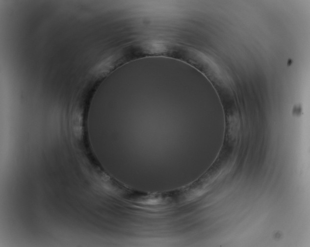 X0000103220267200808281414