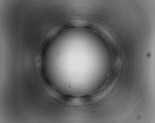 X0000103220268200808281414