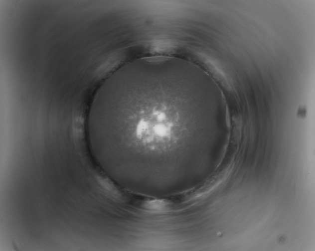 X0000103220269200808281414