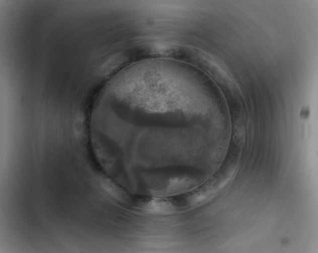 X0000103220270200808281414