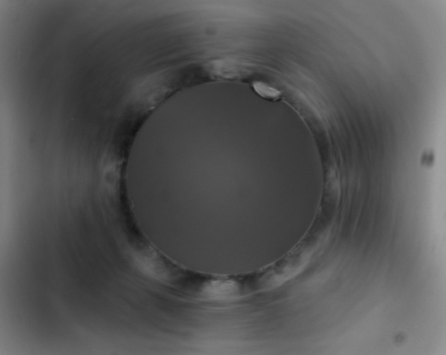 X0000103220271200808281414