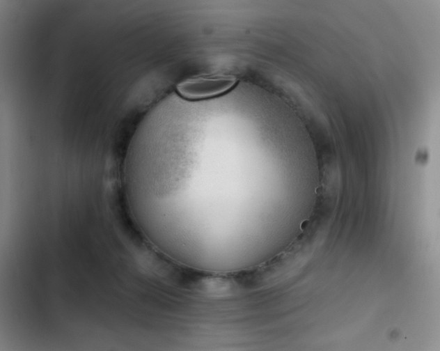 X0000103220272200808281414