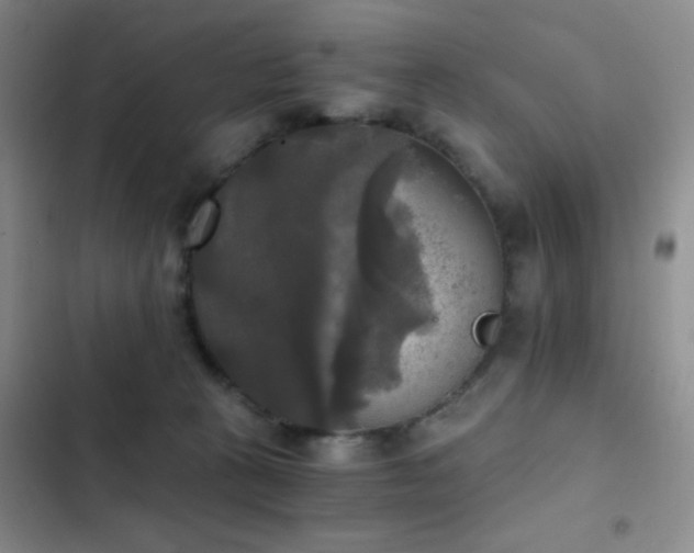 X0000103220273200808281415