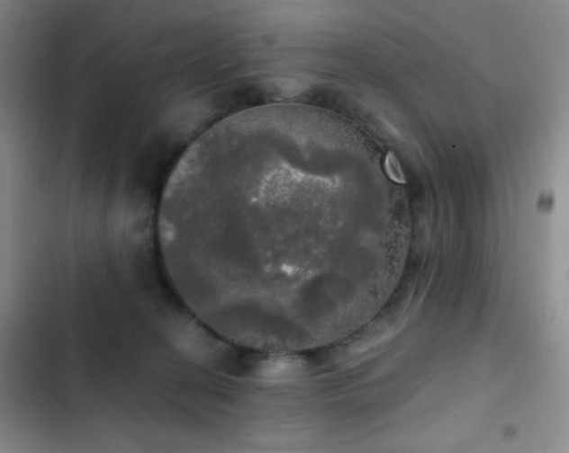 X0000103220274200808281415