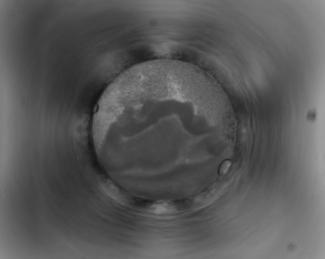 X0000103220275200808281415