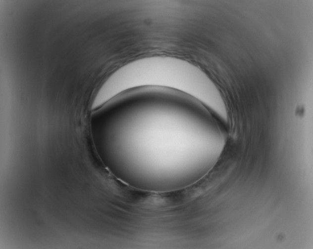 X0000103220276200808281415