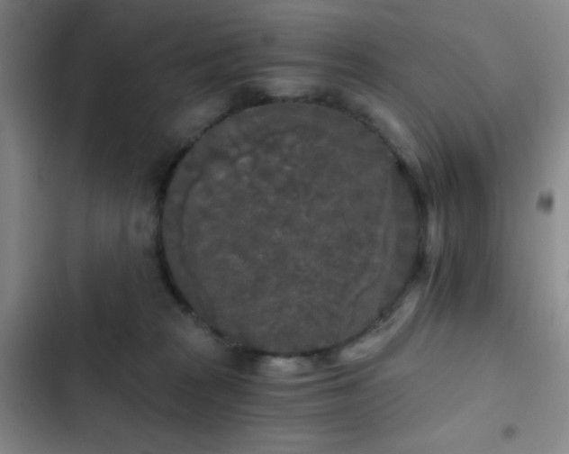 X0000103220277200808281415