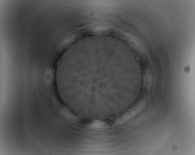 X0000103220278200808281415