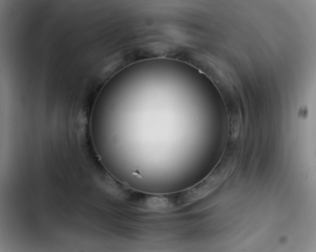 X0000103220279200808281415