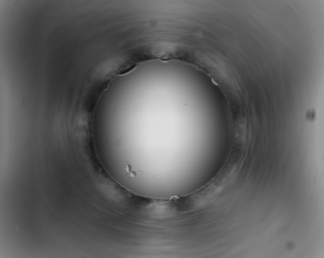 X0000103220280200808281415