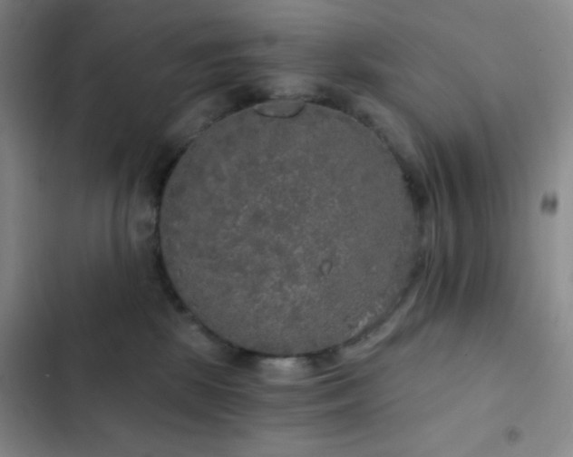 X0000103220281200808281415