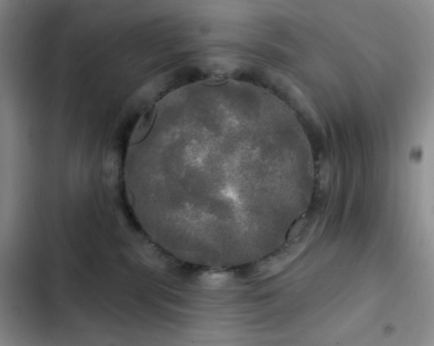 X0000103220283200808281415