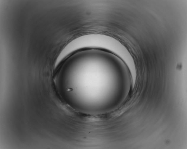 X0000103220284200808281415