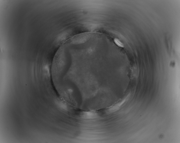 X0000103220286200808281415