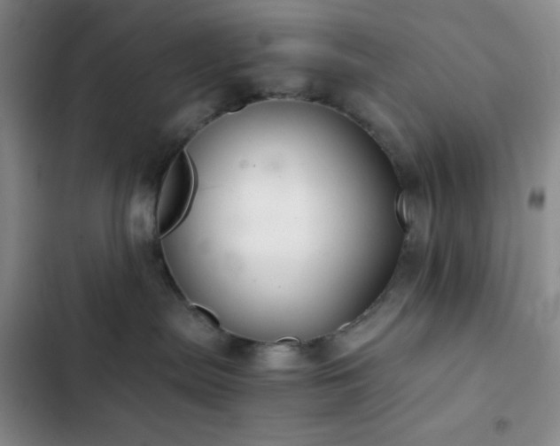 X0000103220287200808281415