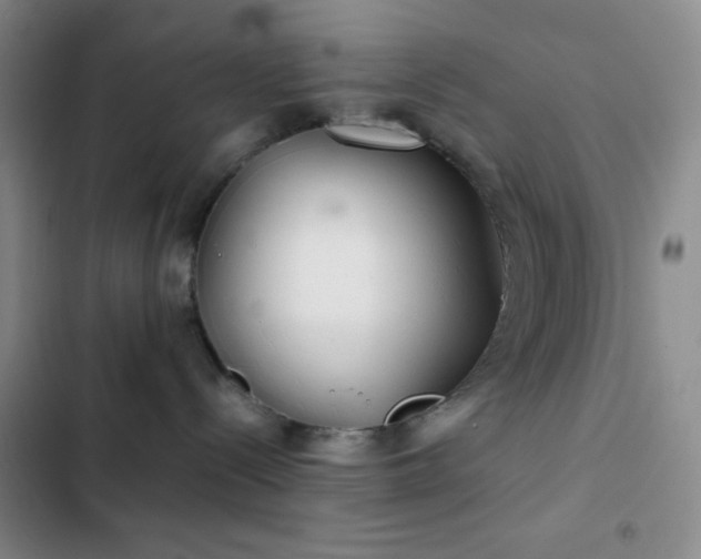 X0000103220288200808281415