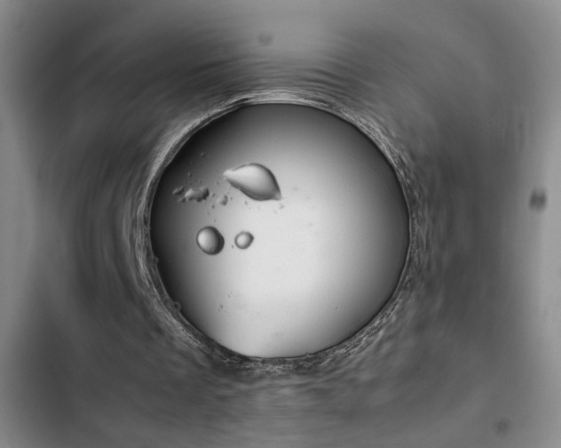 X0000103220289200808281414