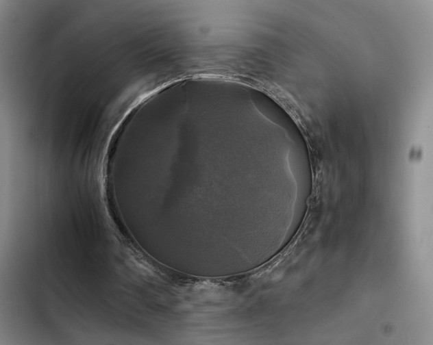 X0000103220290200808281414